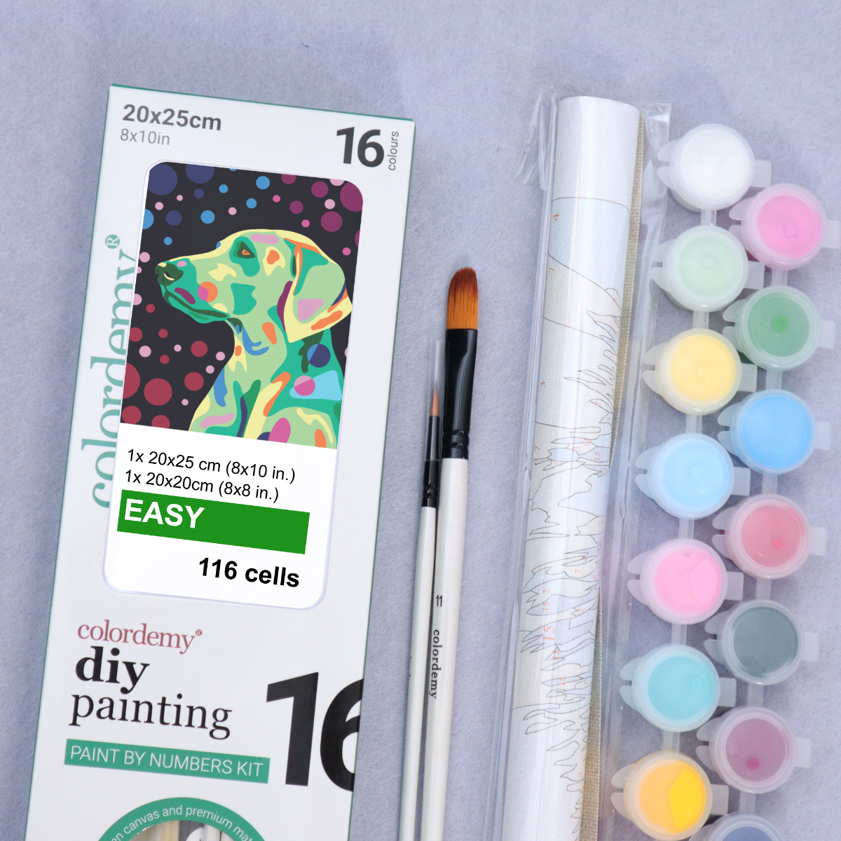 2-in-1 Paint by Numbers Kit - Rolled Canvases (20x25cm & 20x20cm), 16 Colours (Proud Little Paws - Labrador)