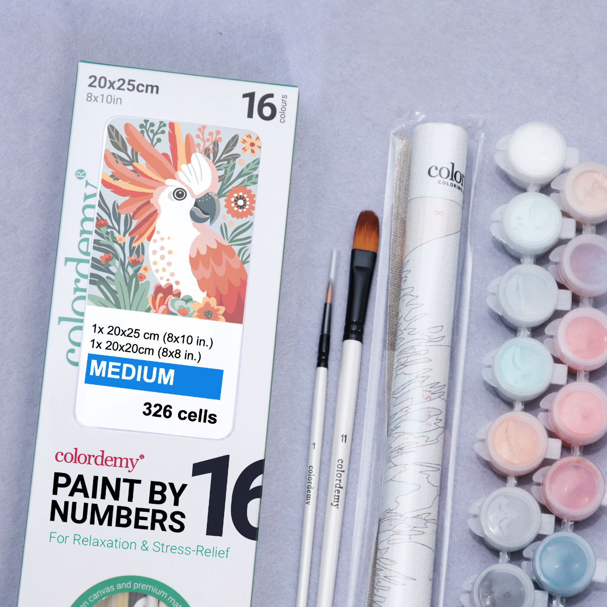 2-in-1 Paint by Numbers Kit - Rolled Canvases (20x25cm & 20x20cm), 16 Colours (undefined)