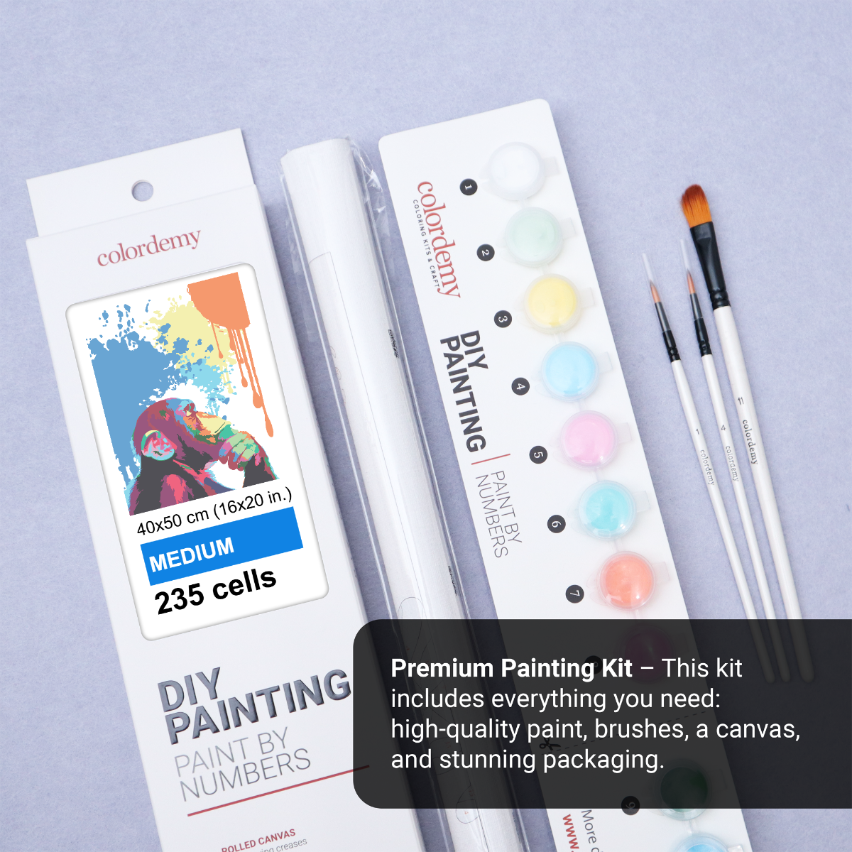 40x50cm Paint by Numbers Kit: Abstract Insight: Thinking Monkey