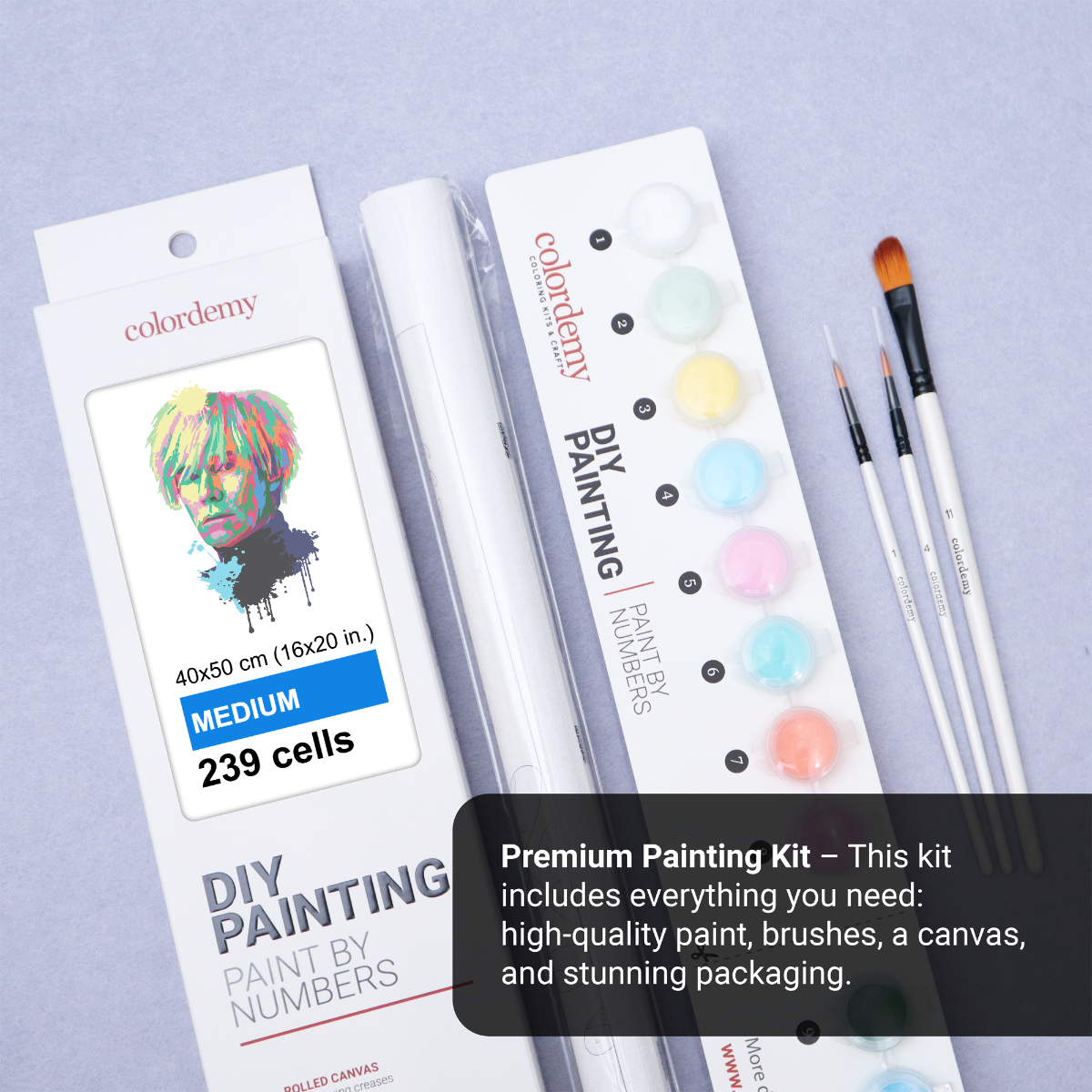 40x50cm Paint by Numbers kit: Warhol Inspired: Abstract Splash Portrait