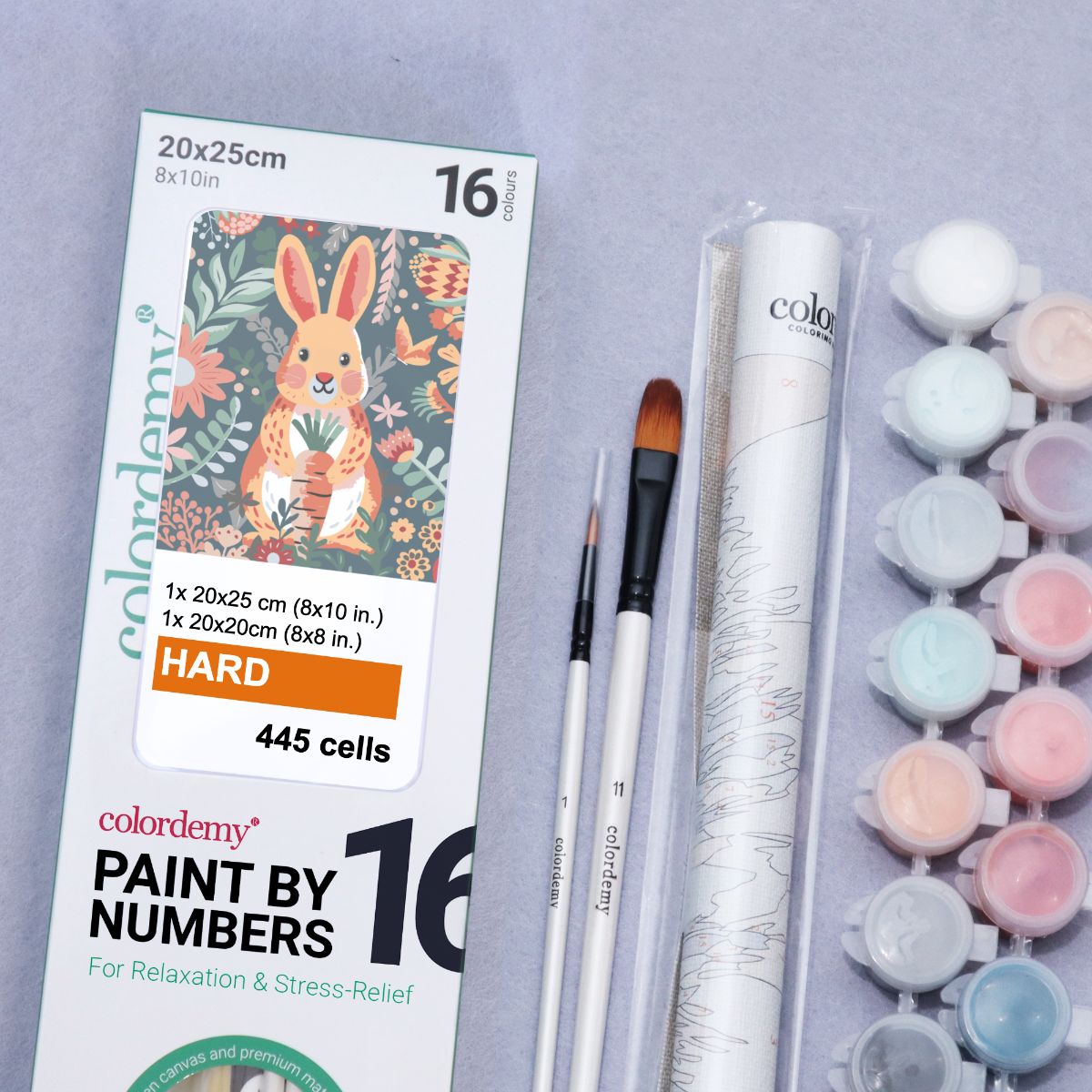 2-in-1 Paint by Numbers Kit - Rolled Canvases (20x25cm & 20x20cm), 16 Colours (Hue & Whimsy - Bunny)