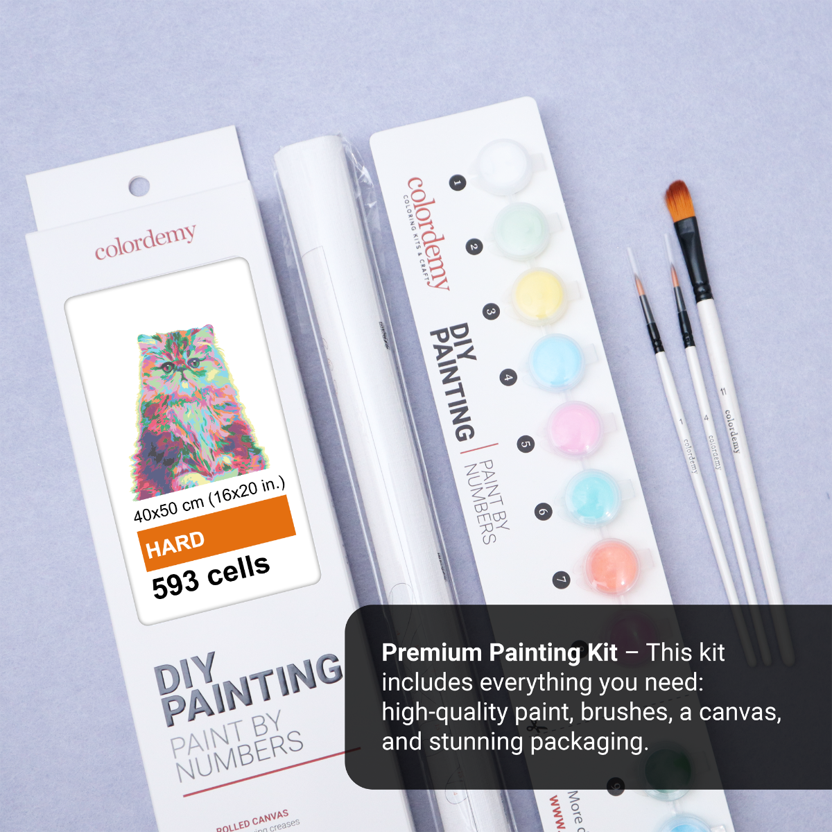 40x50cm Paint by Numbers kit:  Elegance Unleashed: Abstract Persian Cat