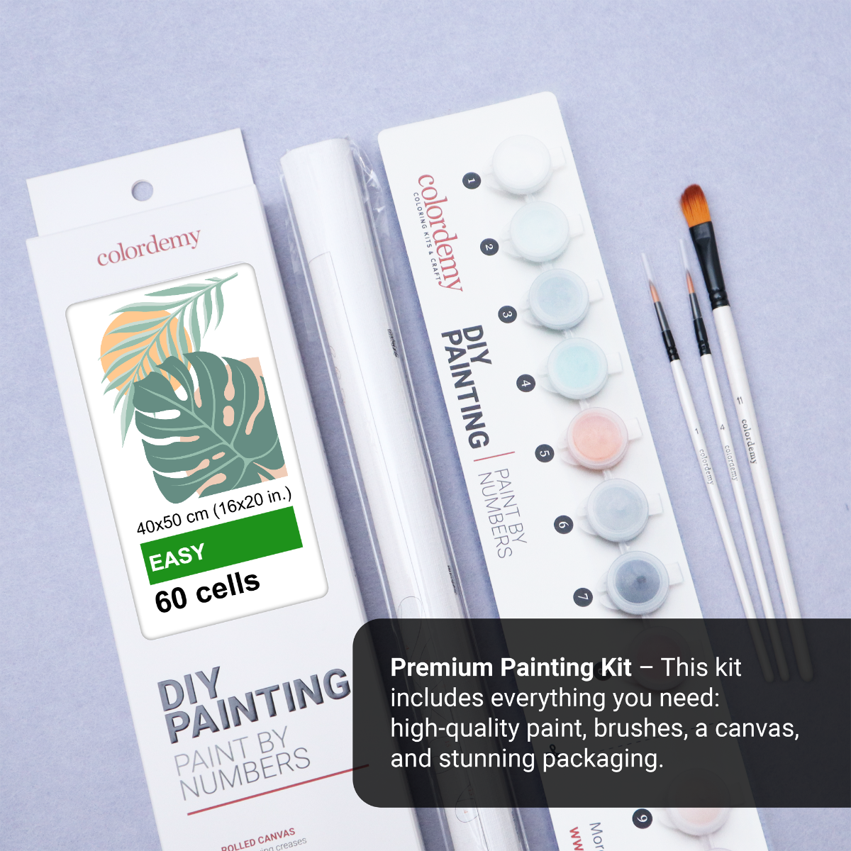 40x50cm Paint by Numbers Kit: Monstera Majesty: Leaf of Elegance