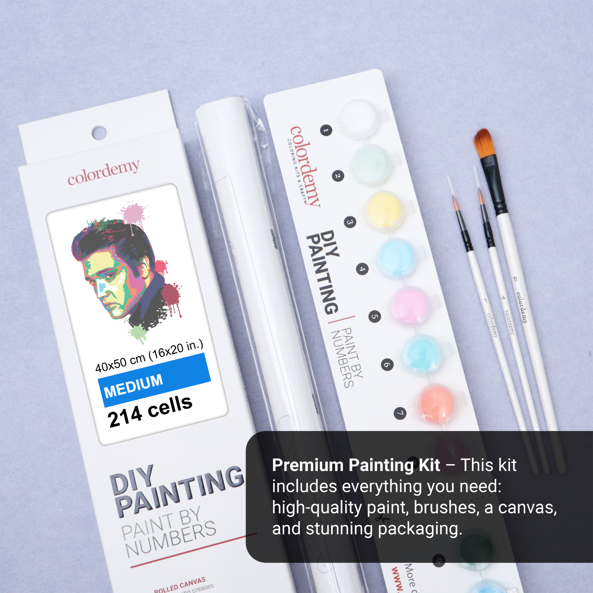 40x50cm Paint by Numbers kit: Musical Majesty: Colourful Abstract Elvis