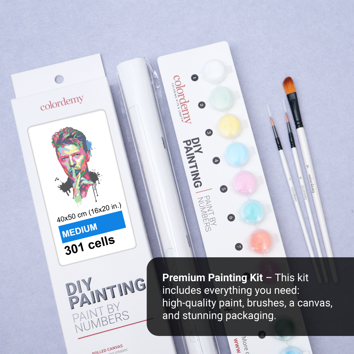 40x50cm Paint by Numbers kit: Bowie's Brilliance: Abstract and Colourful