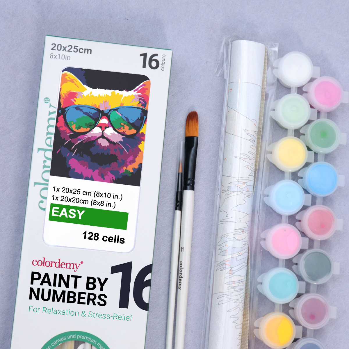 2-in-1 Paint by Numbers Kit - Rolled Canvases (20x25cm & 20x20cm), 16 Colours (Bold In Black - Fat Cat)