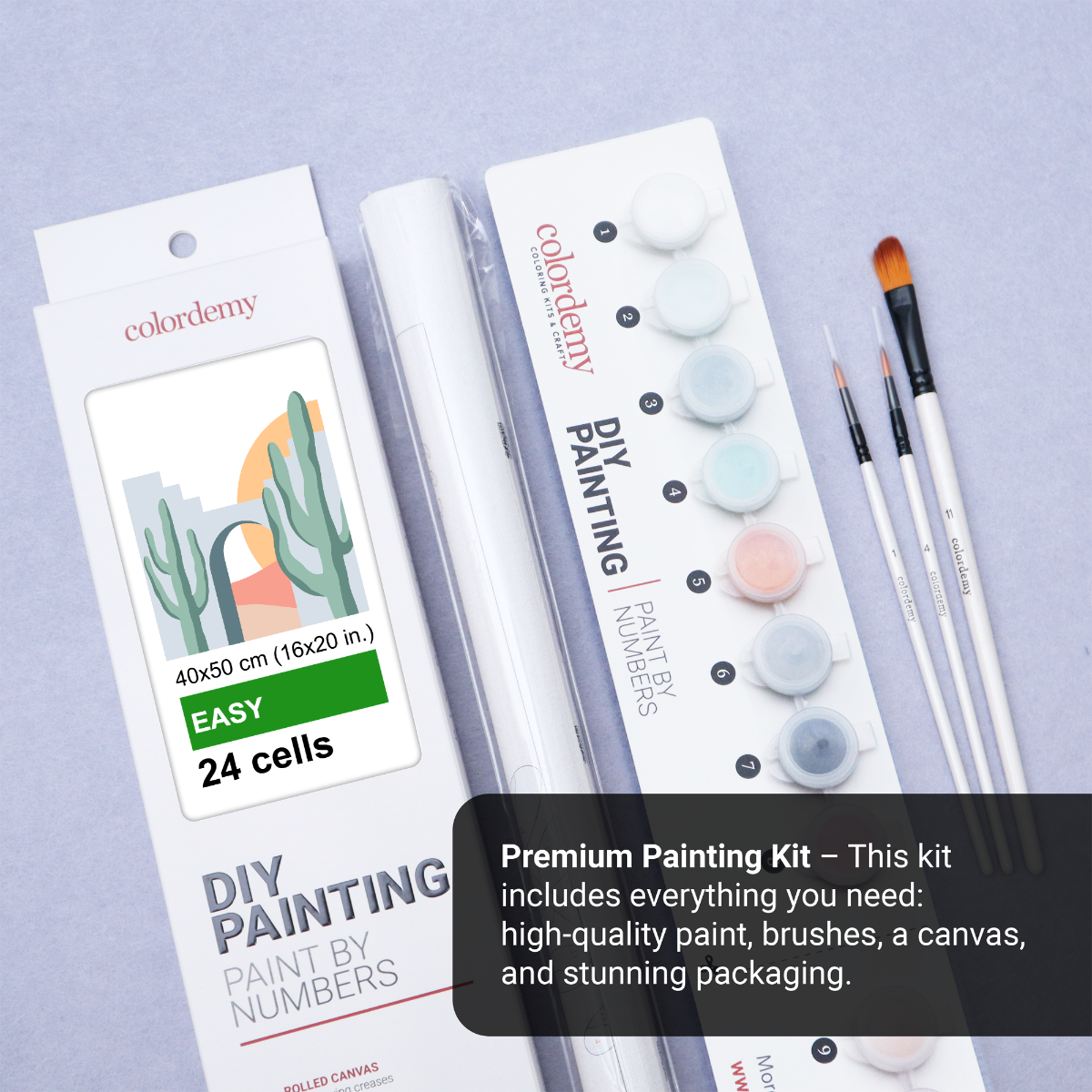 40x50cm Paint by Numbers Kit:  Desert Solitude: Minimalist Cactus and Stone Structure