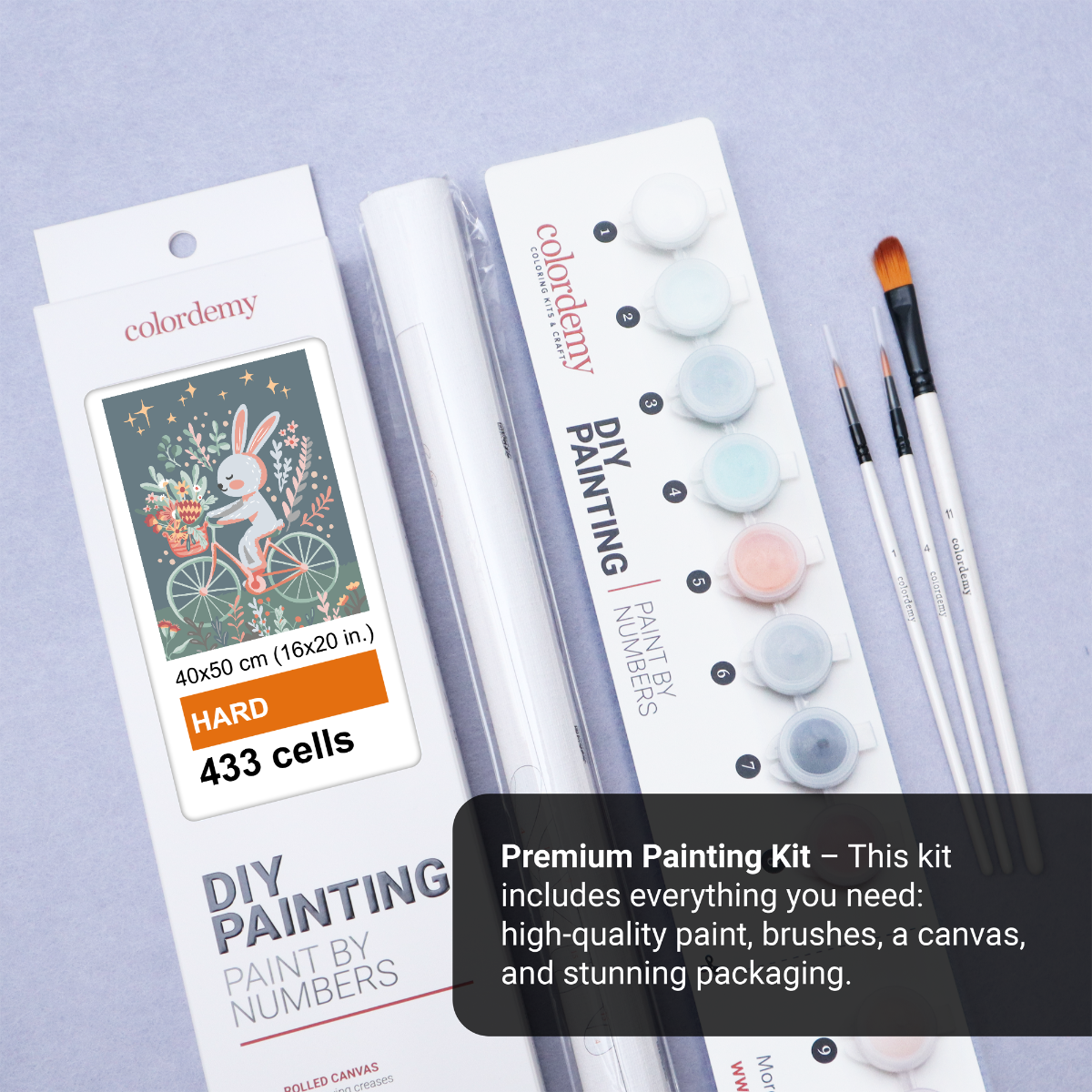 40x50cm Paint by Numbers Kit: Whimsical Wheels - Rabbit's Floral Joy Ride