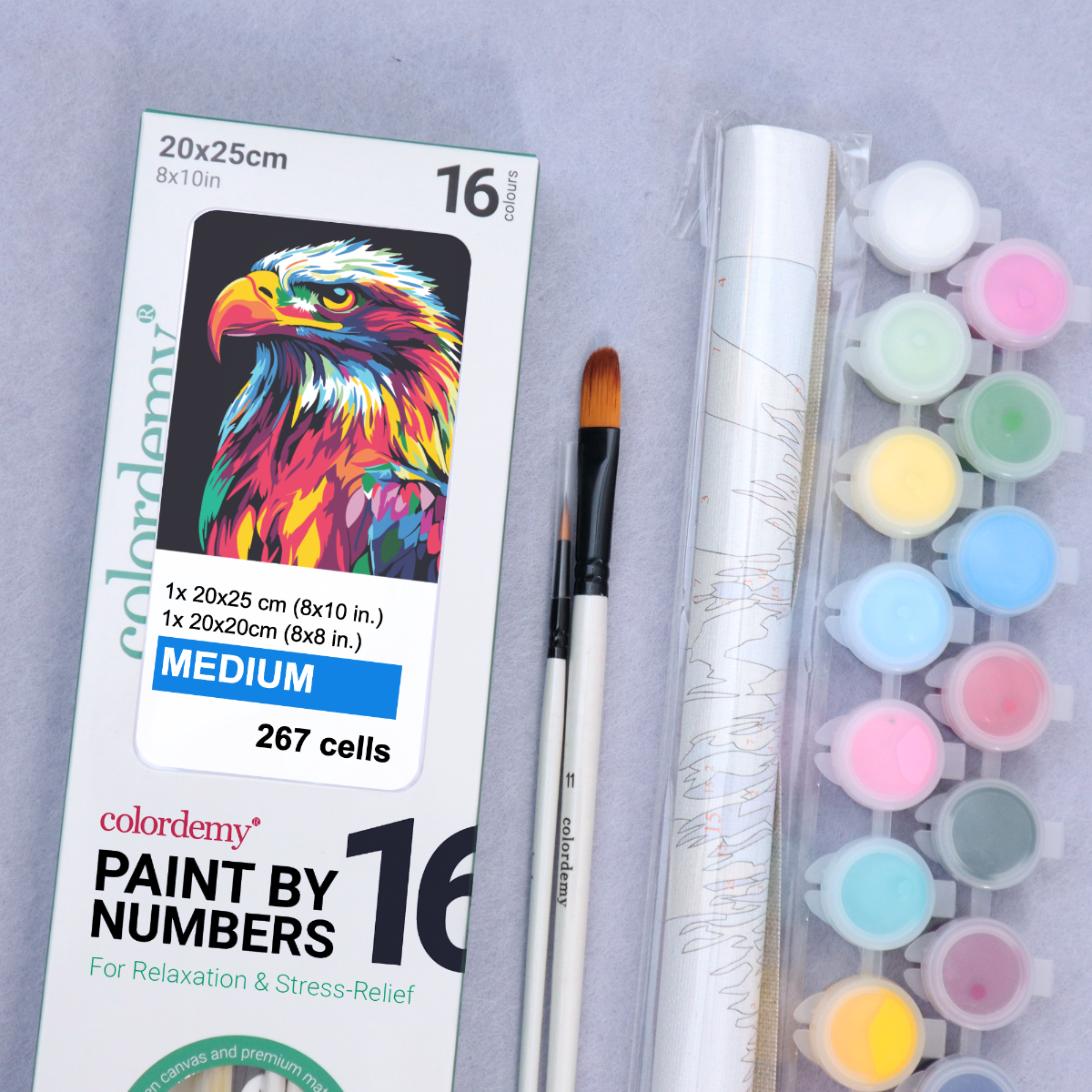 2-in-1 Paint by Numbers Kit - Rolled Canvases (20x25cm & 20x20cm), 16 Colours (Bold In Black - Eagle)