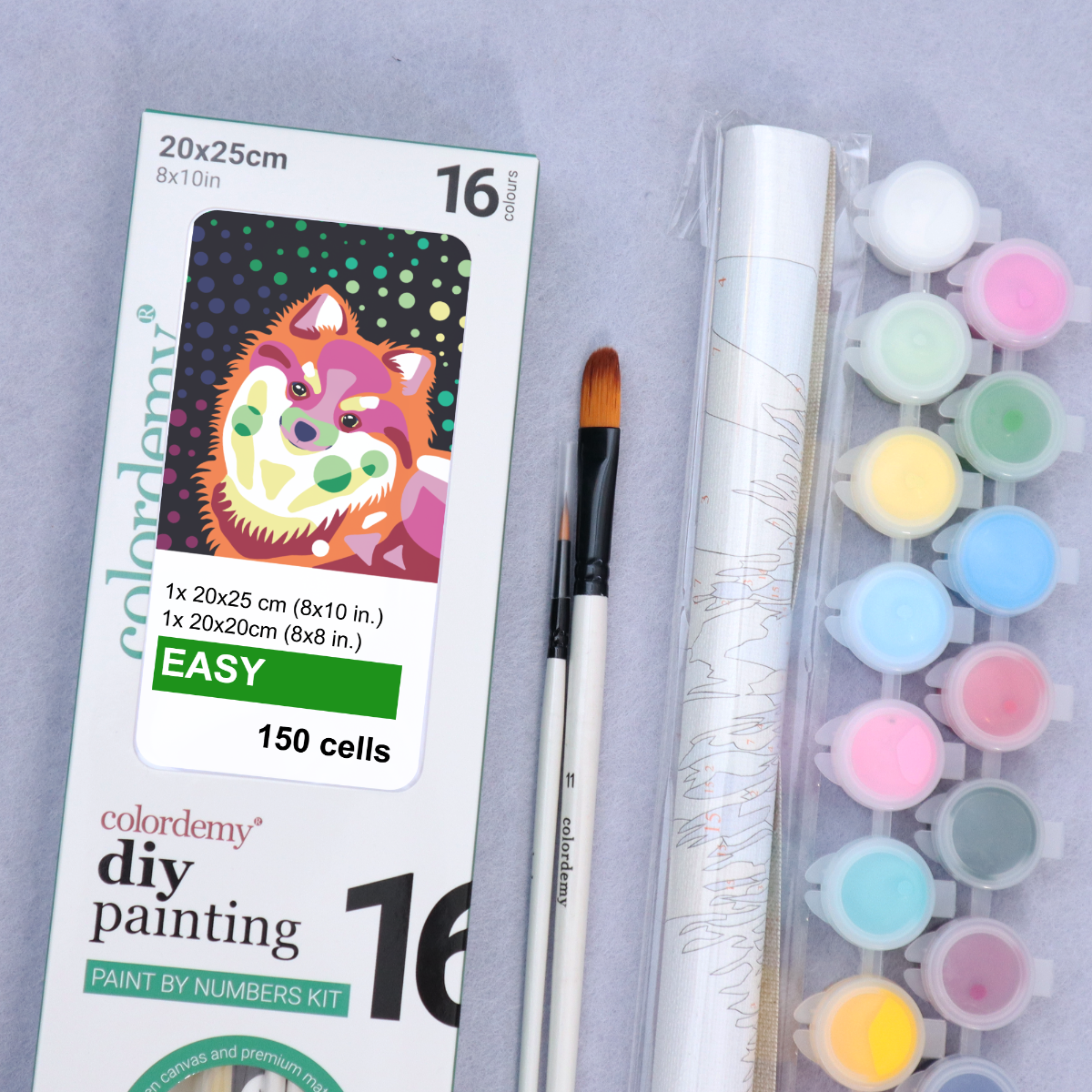 2-in-1 Paint by Numbers Kit - Rolled Canvases (20x25cm & 20x20cm), 16 Colours (Proud Little Paws - Pomeranian)