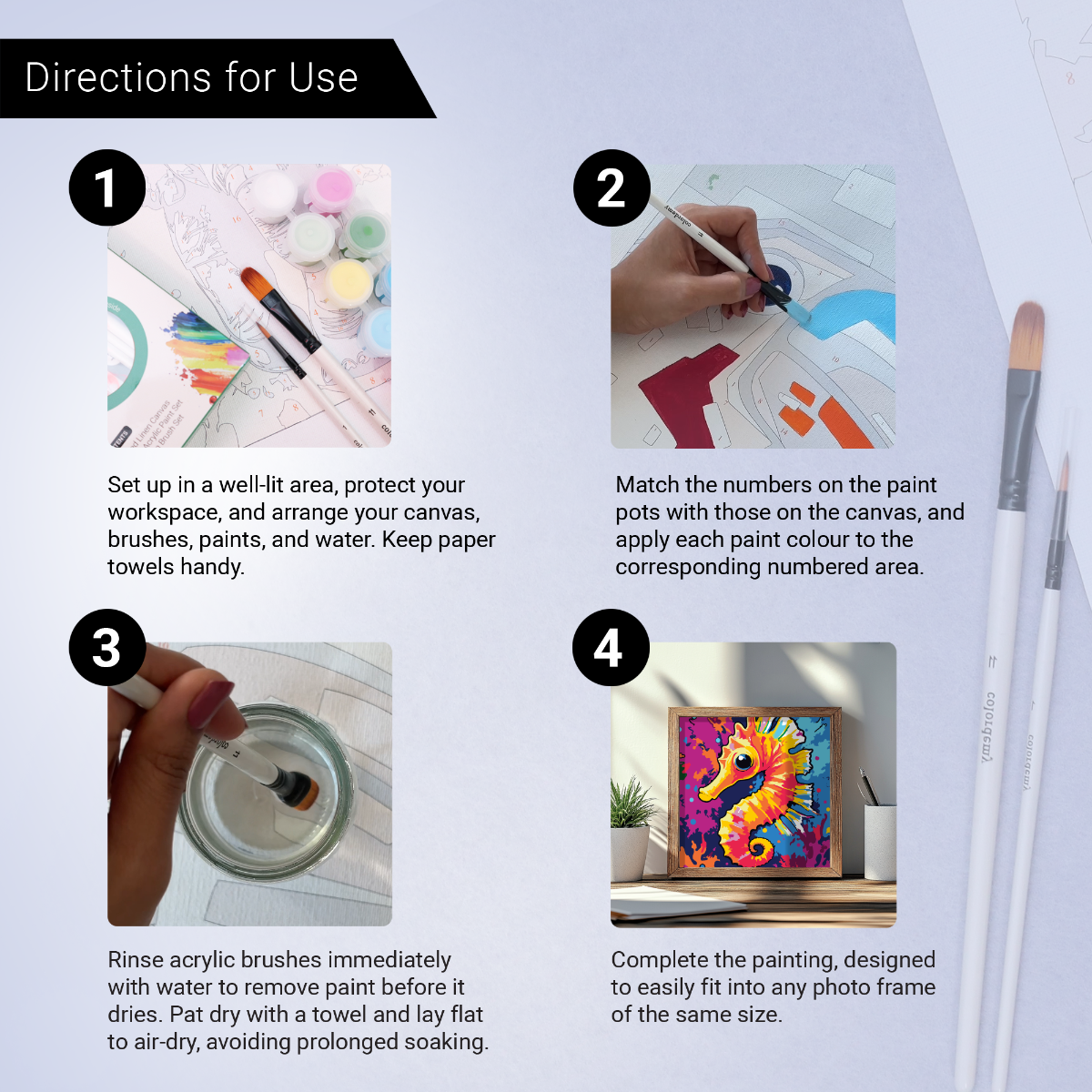 2-in-1 Paint by Numbers Kit - Rolled Canvases (20x25cm & 20x20cm), 16 Colours (Sea Life - Sea Horse)