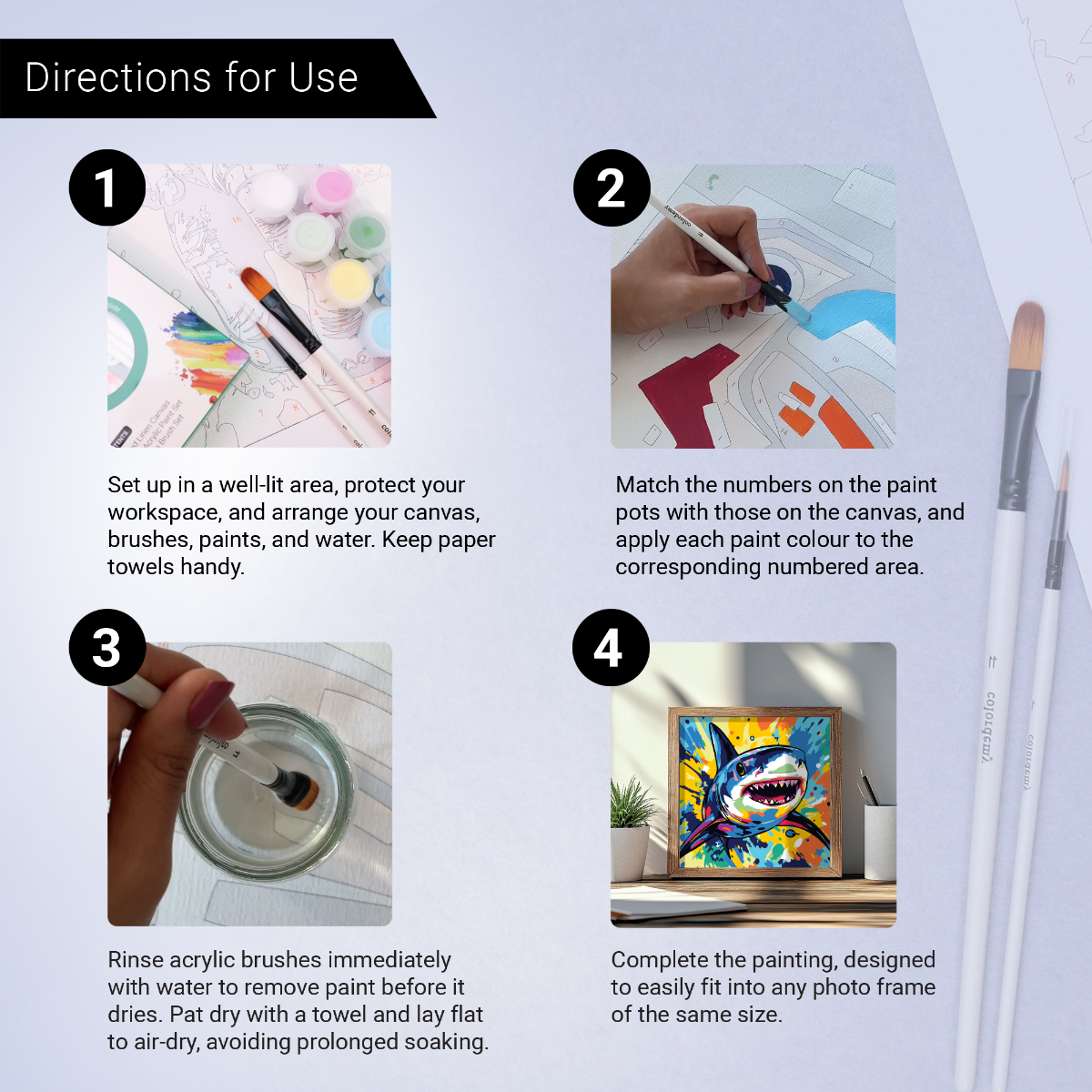 2-in-1 Paint by Numbers Kit - Rolled Canvases (20x25cm & 20x20cm), 16 Colours (Sea Life - Shark)