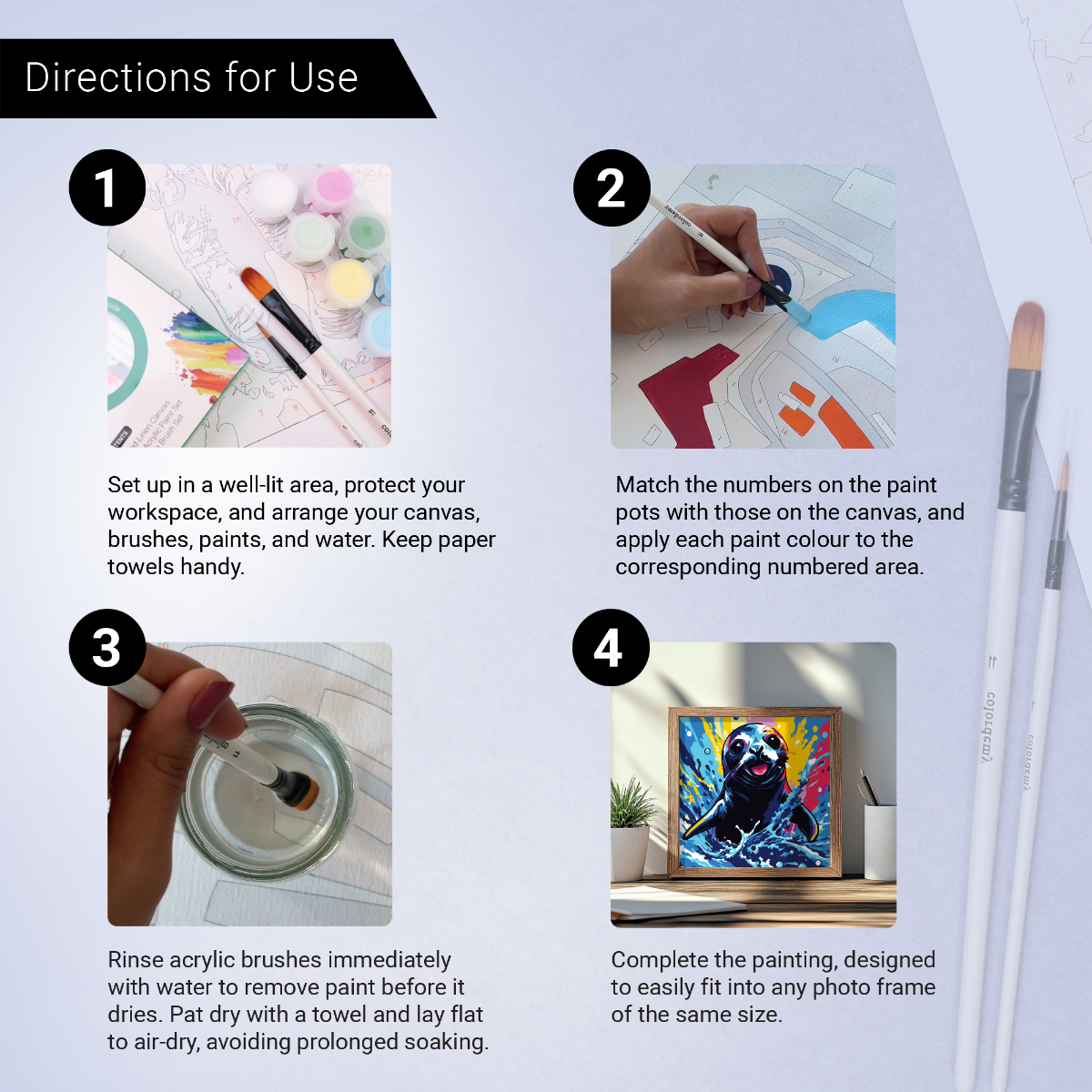 2-in-1 Paint by Numbers Kit - Rolled Canvases (20x25cm & 20x20cm), 16 Colours (Sea Life - Black Seal)