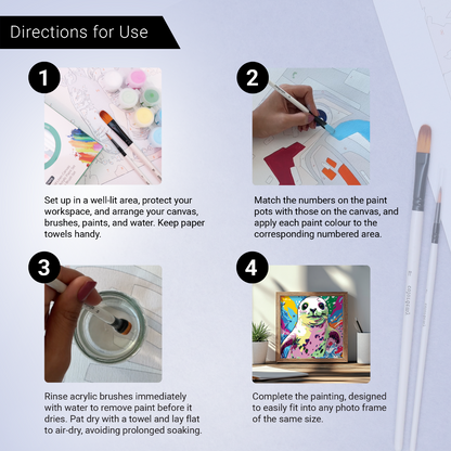 2-in-1 Paint by Numbers Kit - Rolled Canvases (20x25cm & 20x20cm), 16 Colours (Sea Life - Seal)