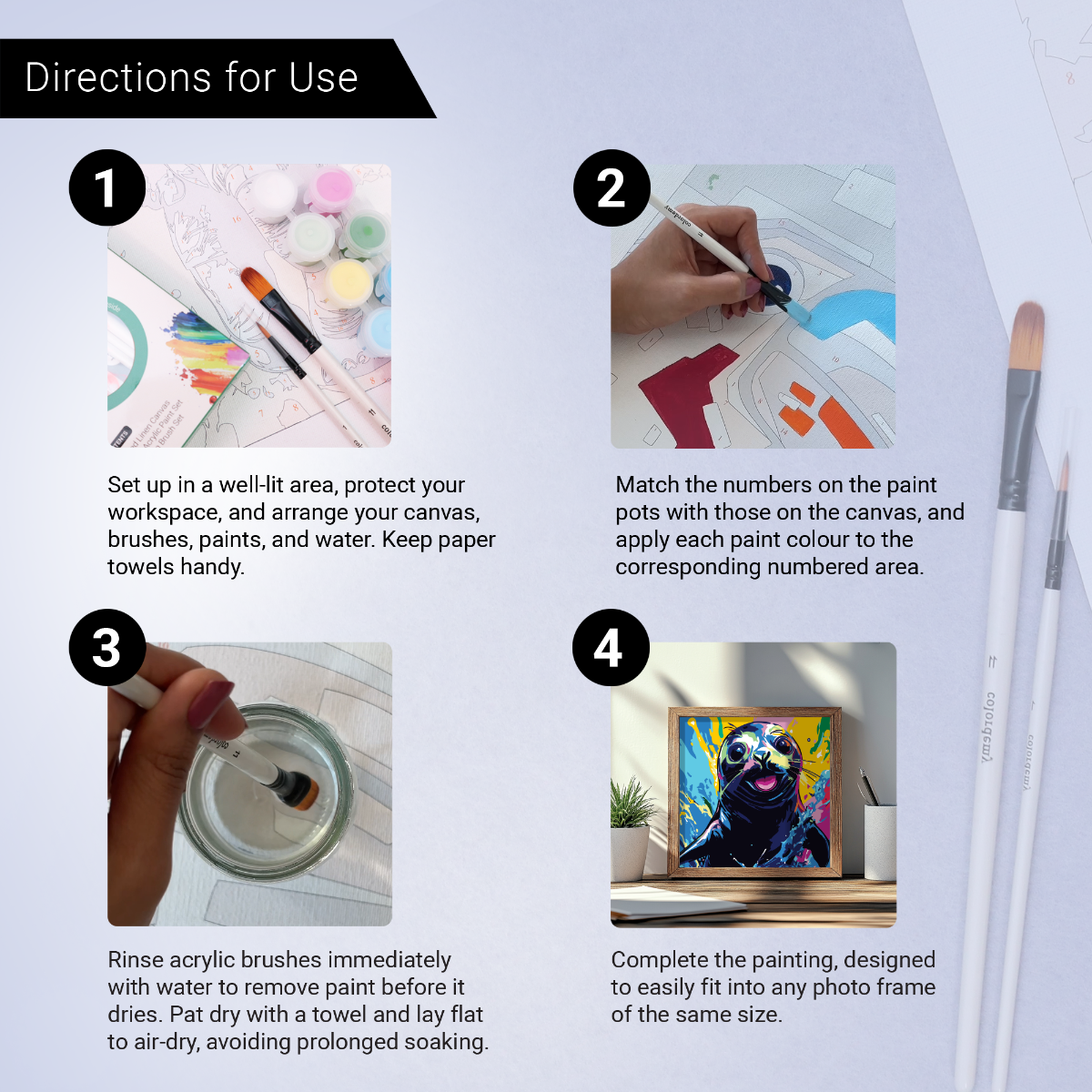 2-in-1 Paint by Numbers Kit - Rolled Canvases (20x25cm & 20x20cm), 16 Colours (Sea Life - Black Seal)