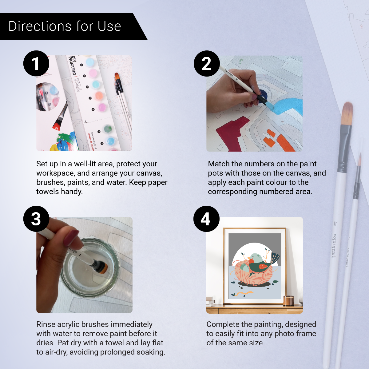 40x50cm Paint by Numbers kit: Graceful Simplicity: Simple Bird