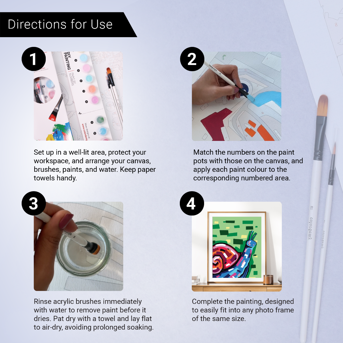 40x50cm Paint by Numbers Kit: Vividly Spiralled: Colourful Snail