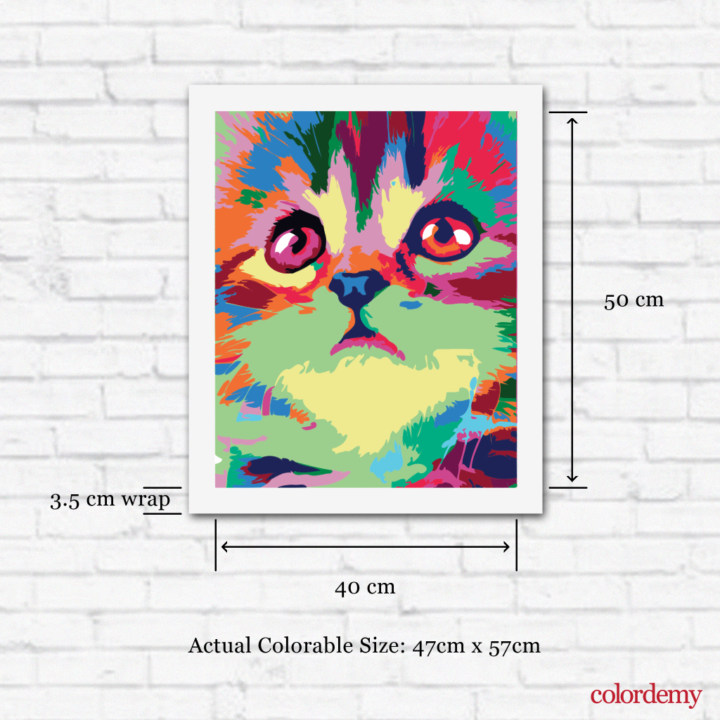 40x50cm Paint by Numbers kit: Mystical Whiskers: Closeup Abstract Cat Face