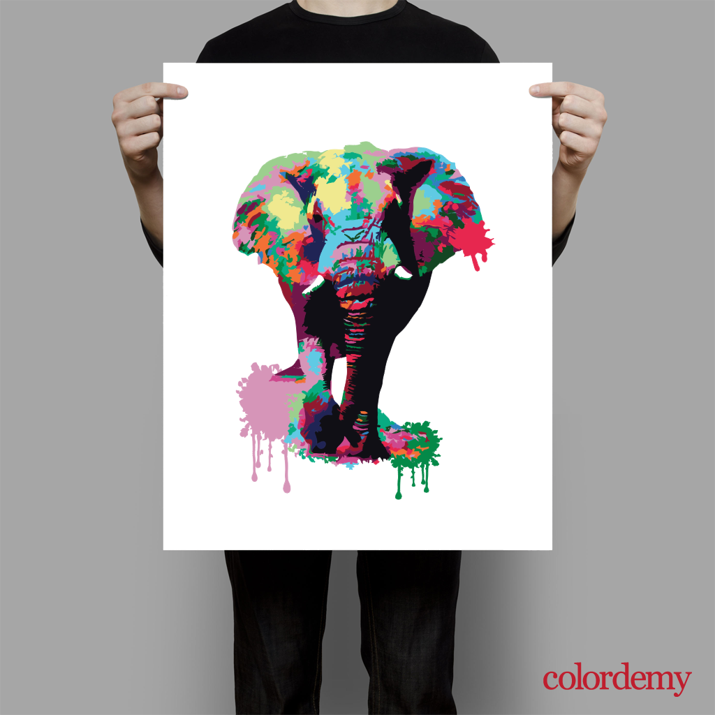40x50cm Paint by Numbers Kit:  Safari Spectacle: Vibrant Splash Elephant