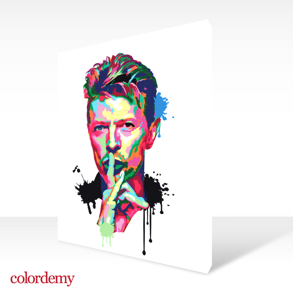 40x50cm Paint by Numbers kit: Bowie's Brilliance: Abstract and Colourful