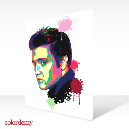 40x50cm Paint by Numbers kit: Musical Majesty: Colourful Abstract Elvis