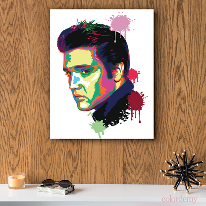 40x50cm Paint by Numbers kit: Musical Majesty: Colourful Abstract Elvis