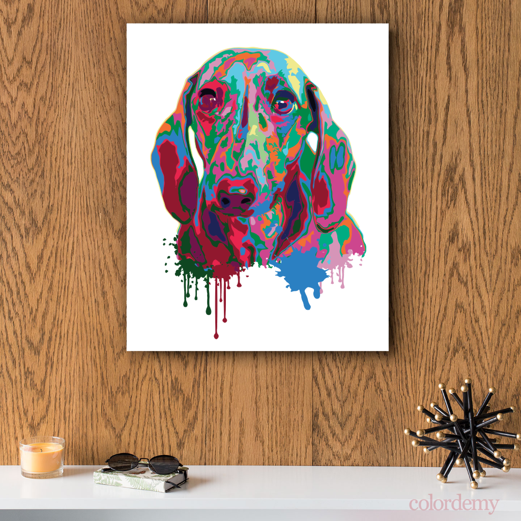 40x50cm Paint by Numbers kit: Vivid Play: Colourful Splash Dog